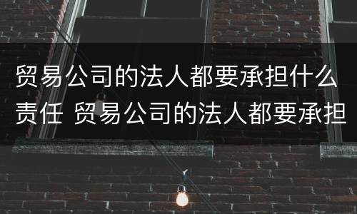 贸易公司的法人都要承担什么责任 贸易公司的法人都要承担什么责任和义务