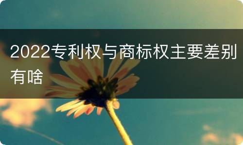 2022专利权与商标权主要差别有啥