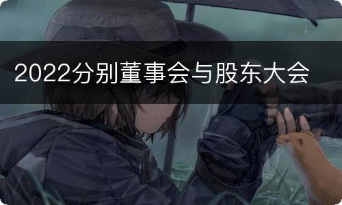 2022分别董事会与股东大会