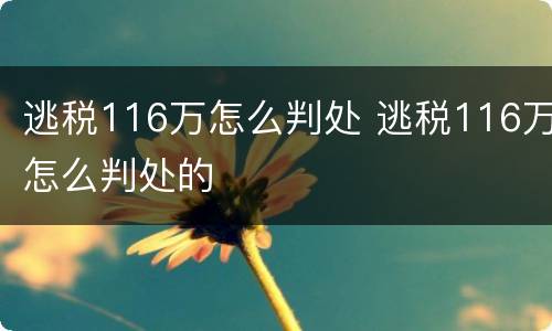 逃税116万怎么判处 逃税116万怎么判处的