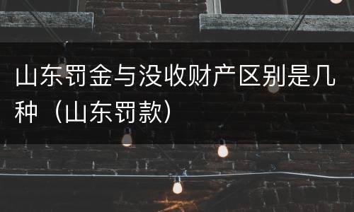 山东罚金与没收财产区别是几种（山东罚款）
