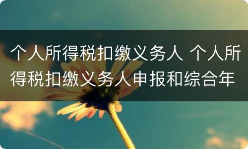 个人所得税扣缴义务人 个人所得税扣缴义务人申报和综合年度所得自行申报