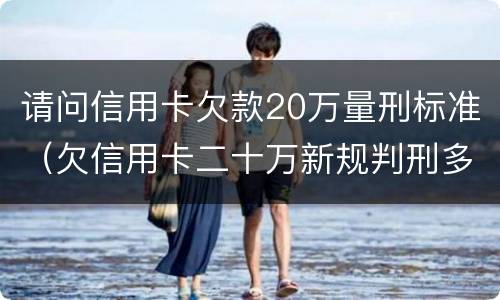 请问信用卡欠款20万量刑标准（欠信用卡二十万新规判刑多少）