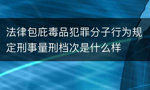 法律包庇毒品犯罪分子行为规定刑事量刑档次是什么样