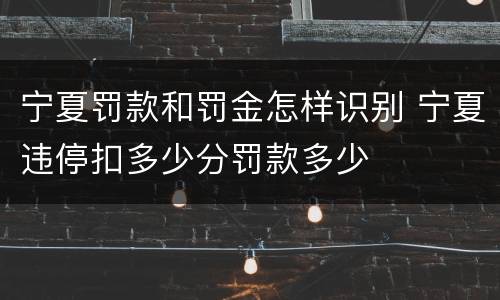 宁夏罚款和罚金怎样识别 宁夏违停扣多少分罚款多少