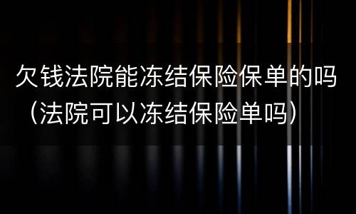 欠钱法院能冻结保险保单的吗（法院可以冻结保险单吗）