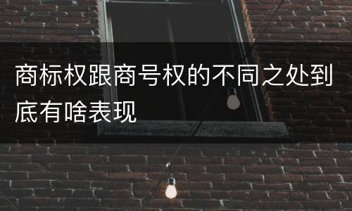商标权跟商号权的不同之处到底有啥表现