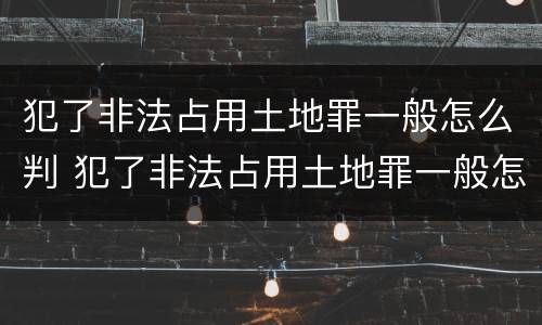 犯了非法占用土地罪一般怎么判 犯了非法占用土地罪一般怎么判刑