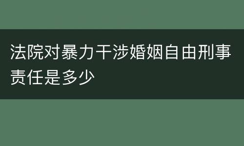 法院对暴力干涉婚姻自由刑事责任是多少