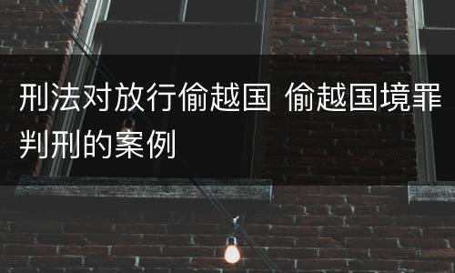 刑法对放行偷越国 偷越国境罪判刑的案例