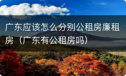 广东应该怎么分别公租房廉租房（广东有公租房吗）