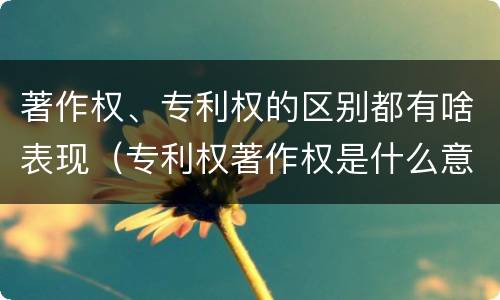 著作权、专利权的区别都有啥表现（专利权著作权是什么意思）