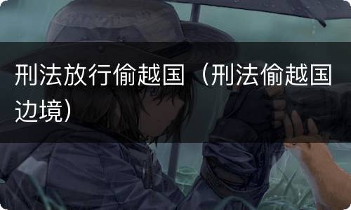 刑法放行偷越国（刑法偷越国边境）