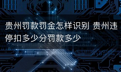 贵州罚款罚金怎样识别 贵州违停扣多少分罚款多少