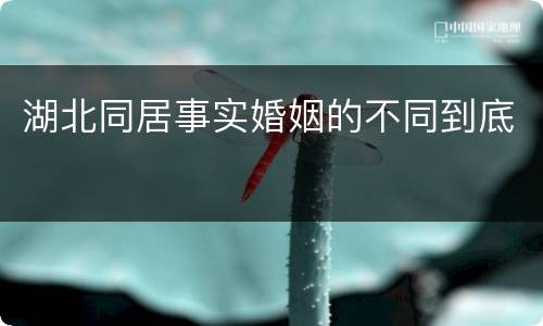 湖北同居事实婚姻的不同到底