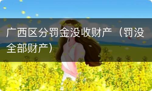 广西区分罚金没收财产（罚没全部财产）