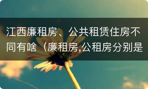 江西廉租房、公共租赁住房不同有啥（廉租房,公租房分别是什么意思?）