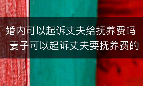 婚内可以起诉丈夫给抚养费吗 妻子可以起诉丈夫要抚养费的条件