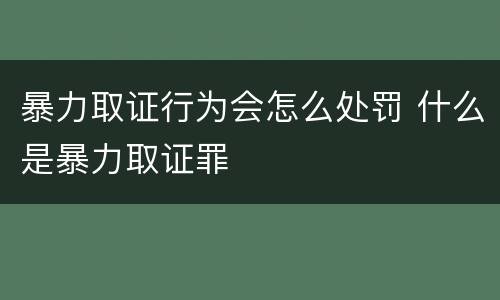 暴力取证行为会怎么处罚 什么是暴力取证罪