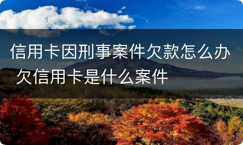 信用卡因刑事案件欠款怎么办 欠信用卡是什么案件