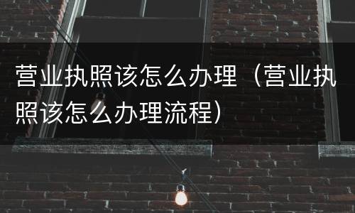 营业执照该怎么办理（营业执照该怎么办理流程）
