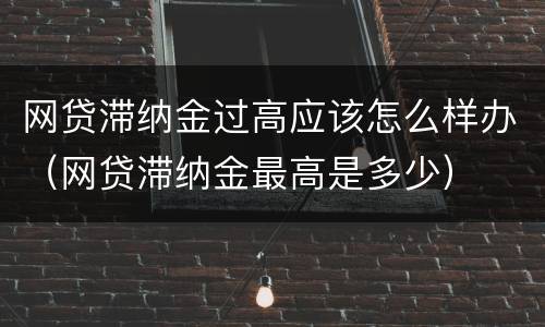 网贷滞纳金过高应该怎么样办（网贷滞纳金最高是多少）