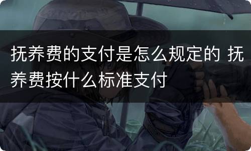 抚养费的支付是怎么规定的 抚养费按什么标准支付