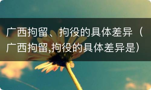 广西拘留、拘役的具体差异（广西拘留,拘役的具体差异是）