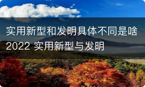 实用新型和发明具体不同是啥2022 实用新型与发明