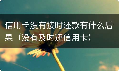 信用卡没有按时还款有什么后果（没有及时还信用卡）