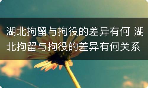 湖北拘留与拘役的差异有何 湖北拘留与拘役的差异有何关系