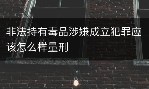 非法持有毒品涉嫌成立犯罪应该怎么样量刑