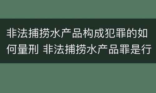 非法捕捞水产品构成犯罪的如何量刑 非法捕捞水产品罪是行为犯吗
