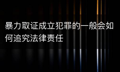 暴力取证成立犯罪的一般会如何追究法律责任