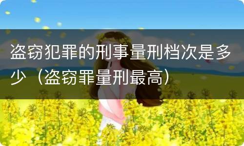 盗窃犯罪的刑事量刑档次是多少（盗窃罪量刑最高）