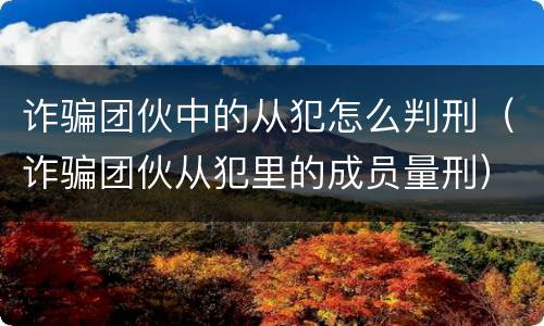 诈骗团伙中的从犯怎么判刑（诈骗团伙从犯里的成员量刑）