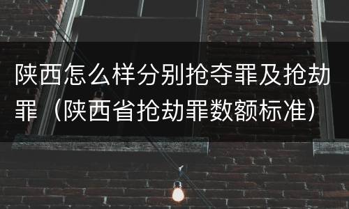 陕西怎么样分别抢夺罪及抢劫罪（陕西省抢劫罪数额标准）