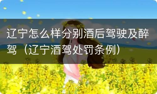 辽宁怎么样分别酒后驾驶及醉驾（辽宁酒驾处罚条例）