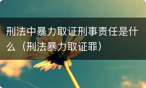 刑法中暴力取证刑事责任是什么（刑法暴力取证罪）