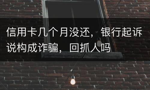 信用卡几个月没还，银行起诉说构成诈骗，回抓人吗