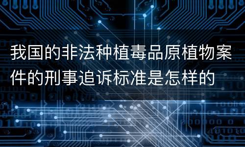 我国的非法种植毒品原植物案件的刑事追诉标准是怎样的
