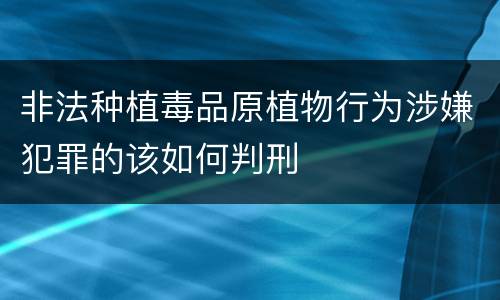 非法种植毒品原植物行为涉嫌犯罪的该如何判刑