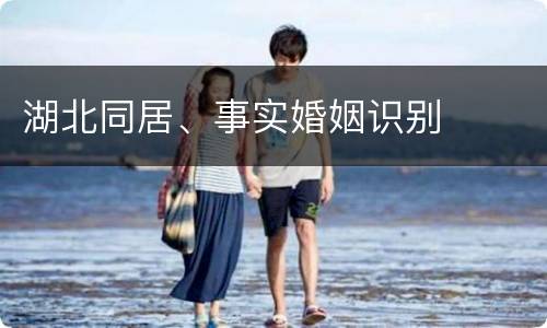 湖北同居、事实婚姻识别