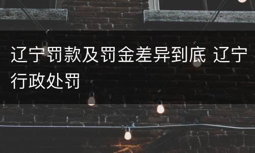 辽宁罚款及罚金差异到底 辽宁行政处罚