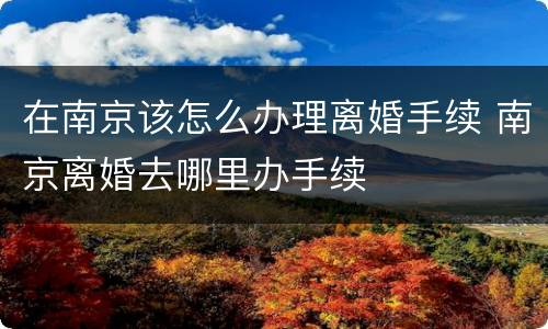 在南京该怎么办理离婚手续 南京离婚去哪里办手续