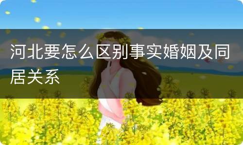 河北要怎么区别事实婚姻及同居关系