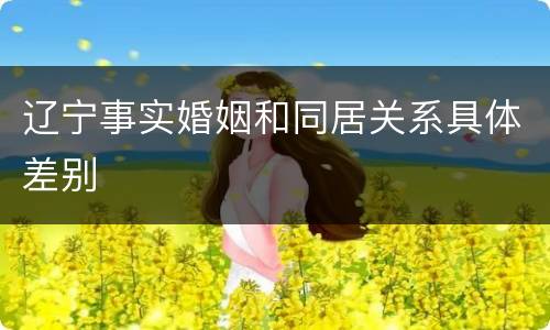 辽宁事实婚姻和同居关系具体差别