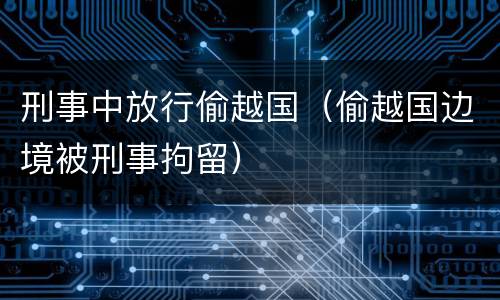 刑事中放行偷越国（偷越国边境被刑事拘留）