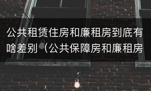 公共租赁住房和廉租房到底有啥差别（公共保障房和廉租房的区别）