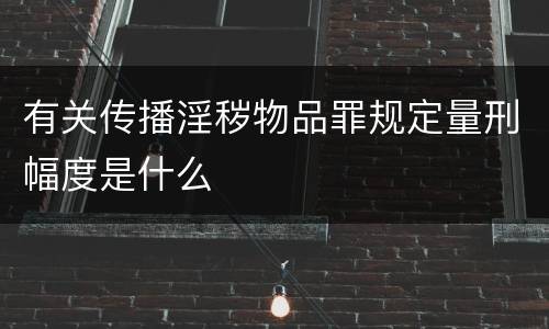 有关传播淫秽物品罪规定量刑幅度是什么